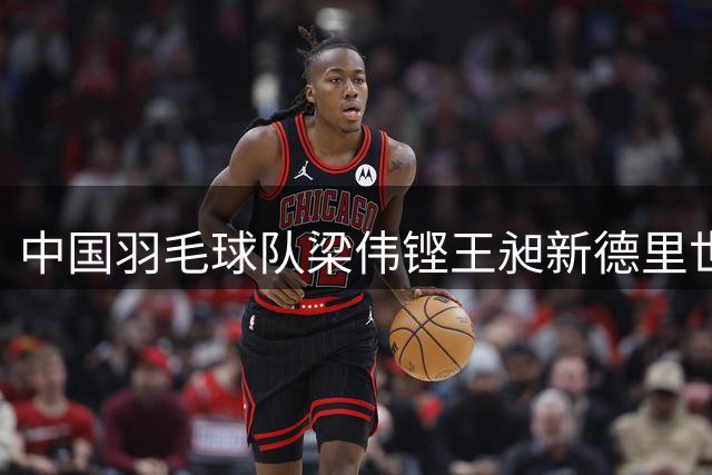 中国羽毛球队梁伟铿王昶新德里世锦赛摘金
