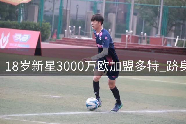 18岁新星3000万欧加盟多特 跻身队史转会费TOP6